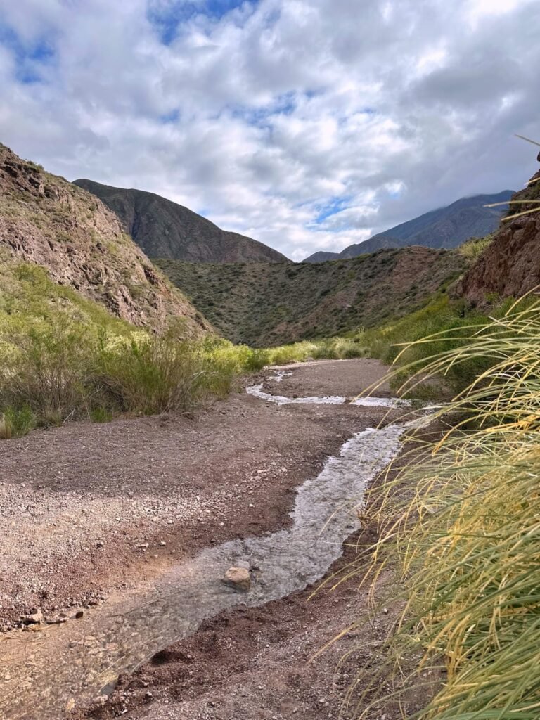 Arroyo en el sendero de la CASCADA del Angel