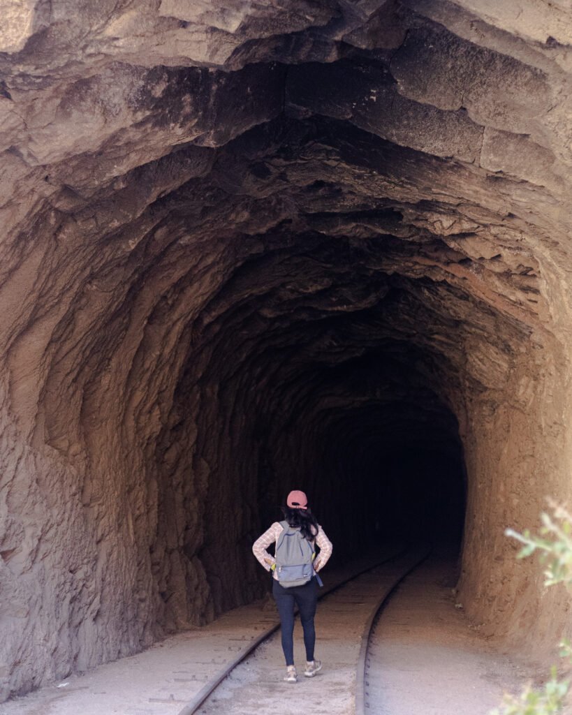 Tunel Tren Transandino