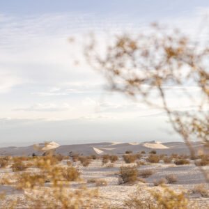 Dunas de Tatón, CATAMARCA, ARGENTINA | Fotografía para imprimir | Descarga digital