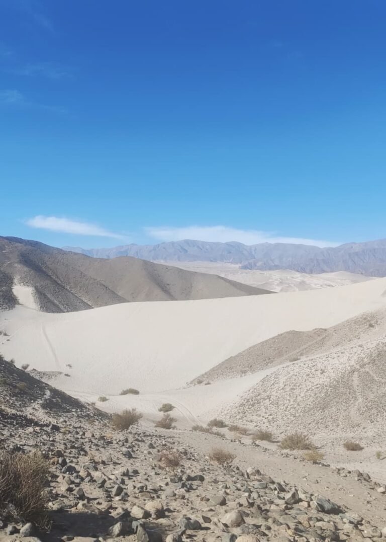 Dumas Magicas de Saujil Catamarca