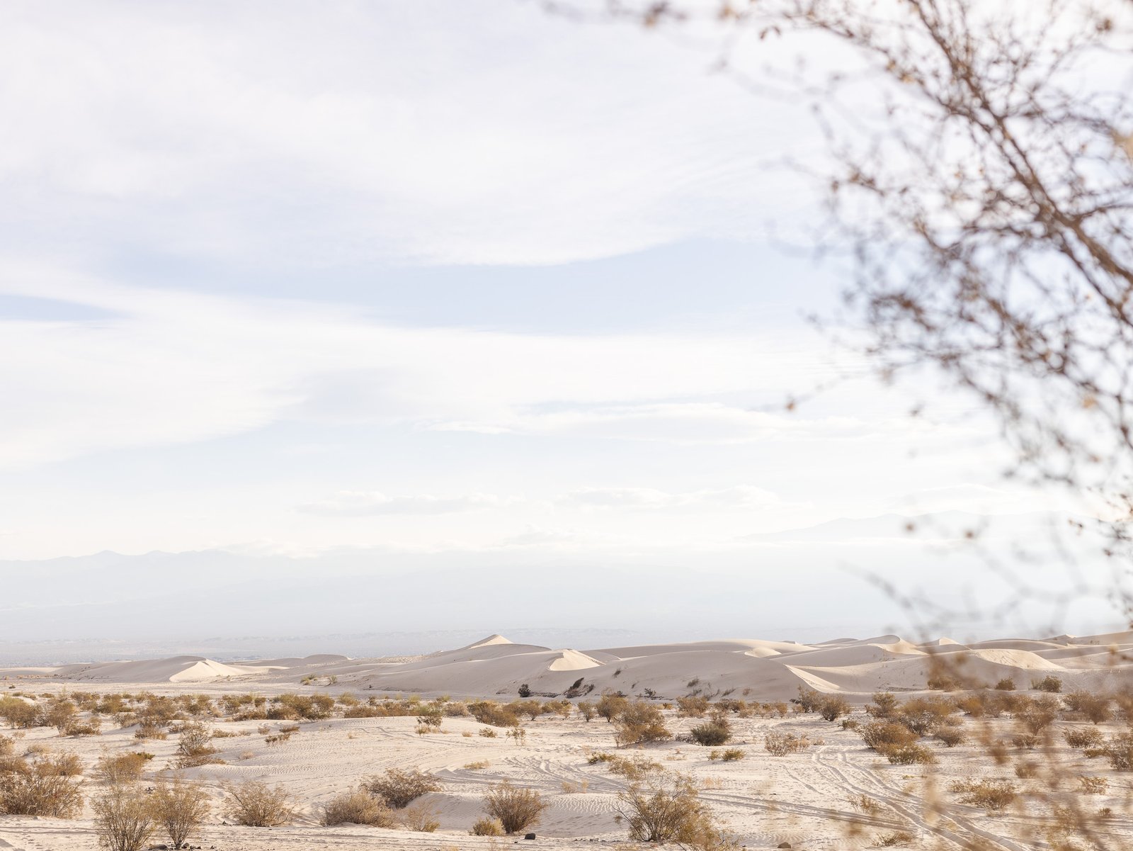 Dunas de Tatón, CATAMARCA, ARGENTINA | Fotografía para imprimir | Descarga digital - Imagen 2